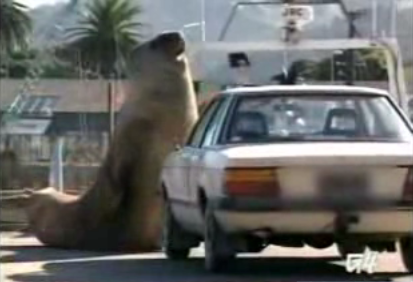 The Biggest Parking Attendant Ever!